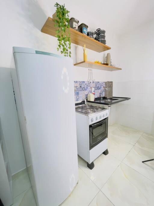 费拉迪圣安娜Flat Charmoso Na Cidade, Moderno E Prox A Fraga Maia公寓 外观 照片